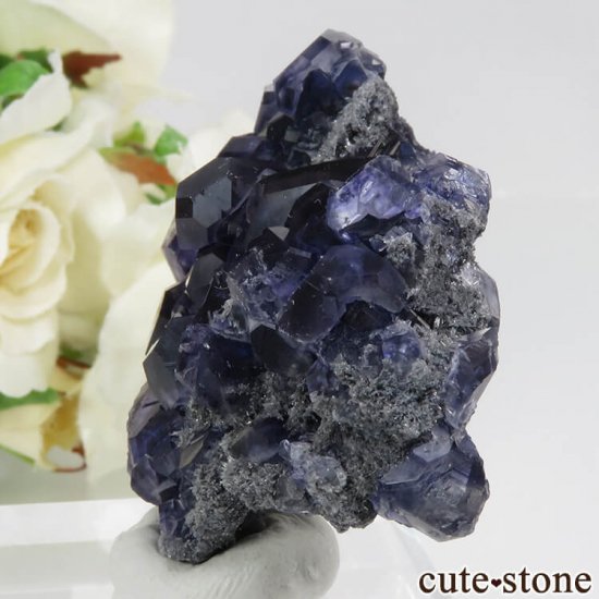  ʡʻѡץ֥롼ե饤ȡĤդ뾽ʸС 37.4gμ̿2 cute stone
