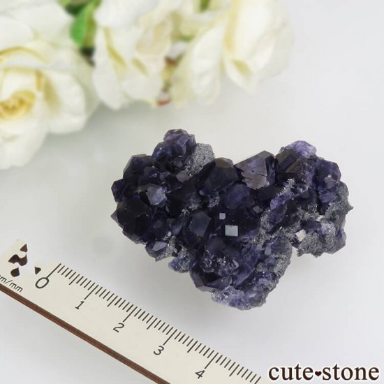  ʡʻѡץ֥롼ե饤ȡĤդ뾽ʸС 37.4gμ̿4 cute stone