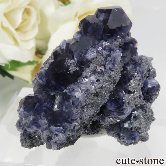  ʡʻѡץ֥롼ե饤ȡĤդ뾽ʸС 28.4gμ̿2 cute stone
