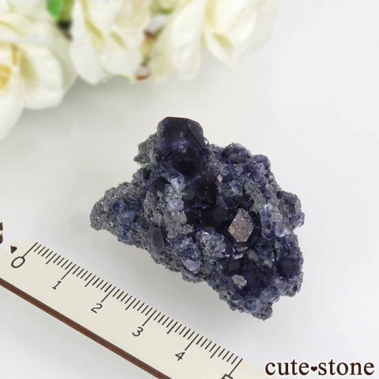  ʡʻѡץ֥롼ե饤ȡĤդ뾽ʸС 28.4gμ̿5 cute stone