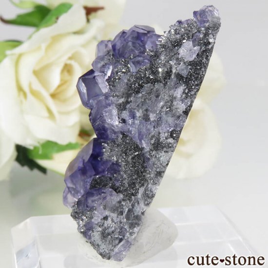  ʡʻѡץ֥롼ե饤ȡĤդ뾽ʸС 15gμ̿1 cute stone