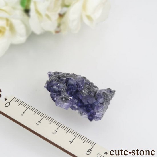  ʡʻѡץ֥롼ե饤ȡĤդ뾽ʸС 15gμ̿3 cute stone