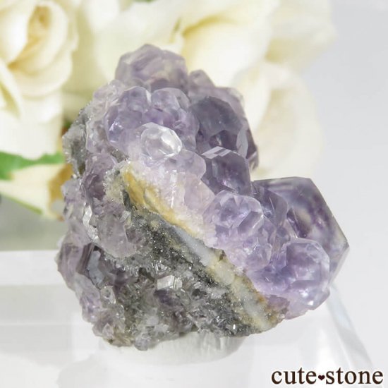  ʡʻѡץե饤ȡĤդ뾽ʸС 20.4gμ̿0 cute stone