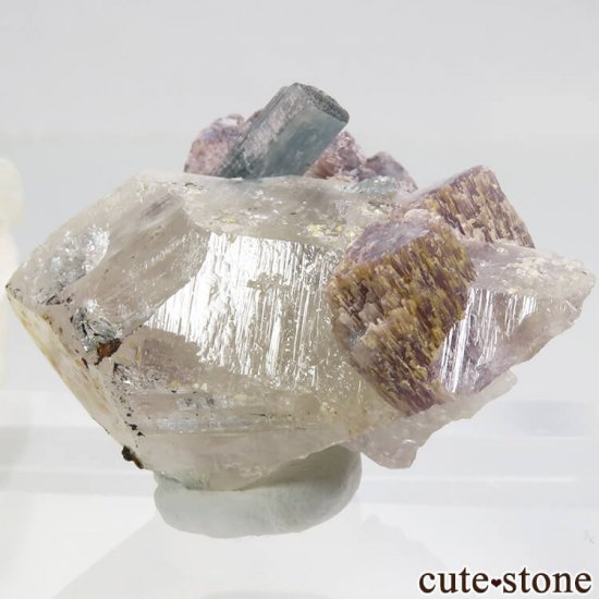 ֥饸 ߥʥ饤 ֥롼꡼ߥԥ󥯥ȥޥġԥɥ饤Ȥμ̿1 cute stone