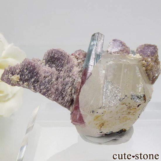 ֥饸 ߥʥ饤 ֥롼꡼ߥԥ󥯥ȥޥġԥɥ饤Ȥμ̿2 cute stone