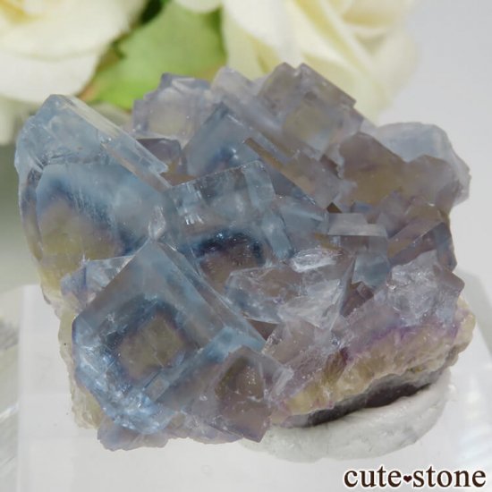 ե La Barre Mine ֥롼ߥե饤Ȥη뾽ʸС 25.8gμ̿0 cute stone