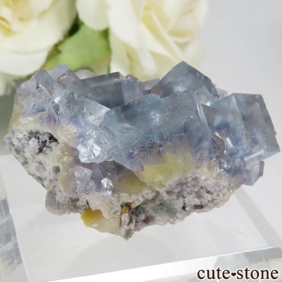 ե La Barre Mine ֥롼ߥե饤Ȥη뾽ʸС 25.8gμ̿1 cute stone