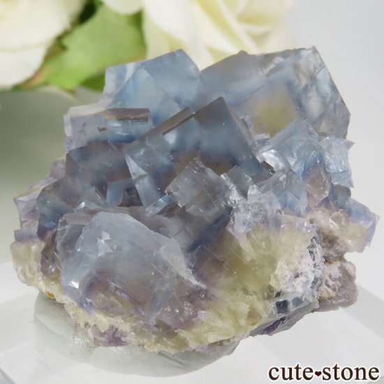 ե La Barre Mine ֥롼ߥե饤Ȥη뾽ʸС 25.8gμ̿2 cute stone