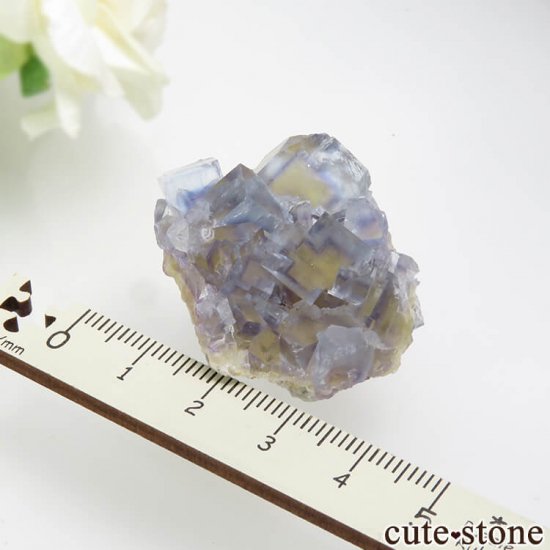 ե La Barre Mine ֥롼ߥե饤Ȥη뾽ʸС 25.8gμ̿4 cute stone