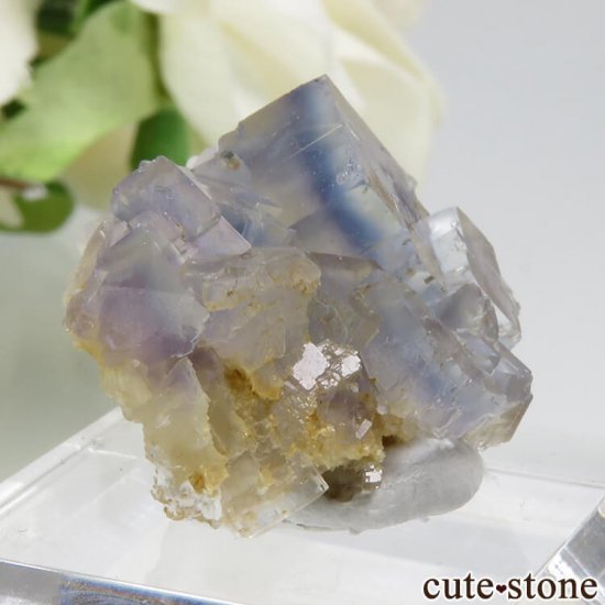 ե La Barre Mine ֥롼ߥե饤Ȥη뾽ʸС 5.7gμ̿0 cute stone