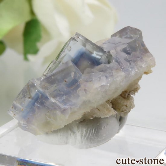 ե La Barre Mine ֥롼ߥե饤Ȥη뾽ʸС 5.7gμ̿2 cute stone