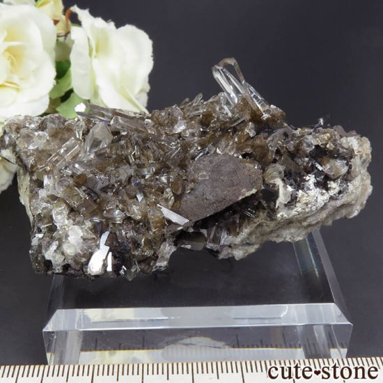  Xia Yang Mine 륵ȡե饤Ȥդ뾽 95gμ̿0 cute stone