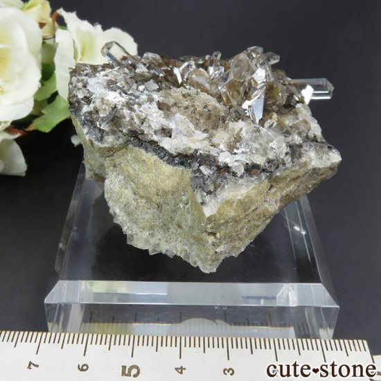  Xia Yang Mine 륵ȡե饤Ȥդ뾽 149gμ̿0 cute stone