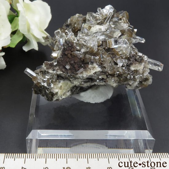  Xia Yang Mine 륵ȡե饤Ȥդ뾽 101gμ̿0 cute stone