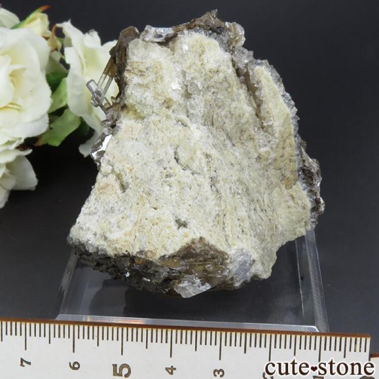  Xia Yang Mine 륵ȡե饤Ȥդ뾽 204gμ̿0 cute stone