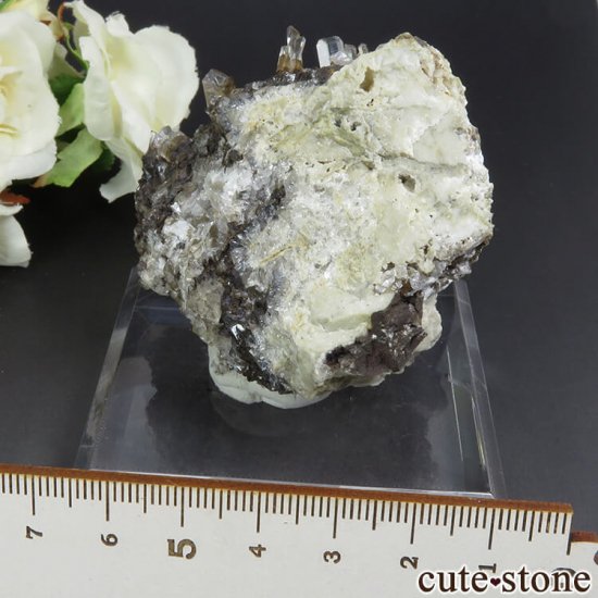  Xia Yang Mine 륵ȡե饤Ȥդ뾽 138gμ̿0 cute stone