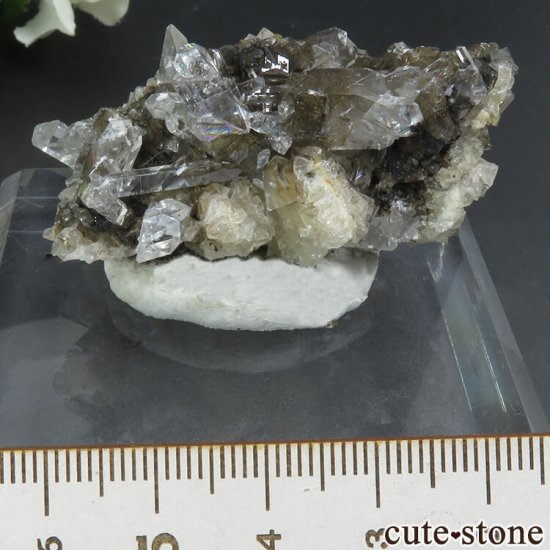  Xia Yang Mine 륵ȡե饤Ȥդ뾽 38gμ̿0 cute stone