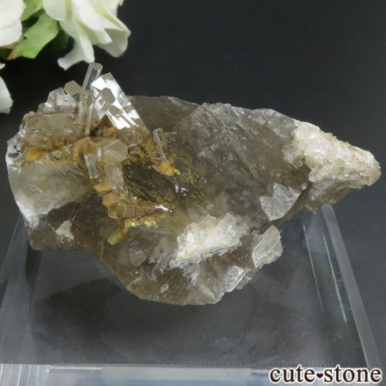  Xia Yang Mine 륵ȡե饤Ȥդ뾽 70.4g