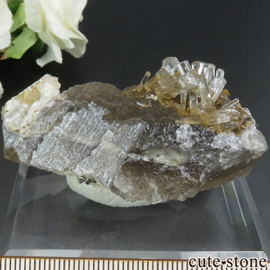  Xia Yang Mine 륵ȡե饤Ȥդ뾽 70.4gμ̿0 cute stone