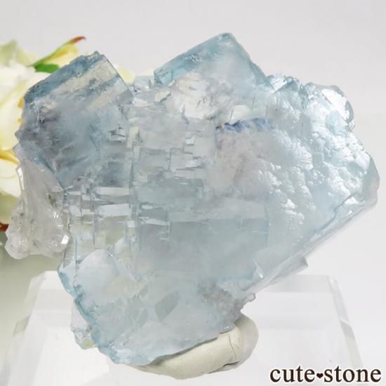 䥪󥷥 ֥롼ե饤ȡġեޥ 125g