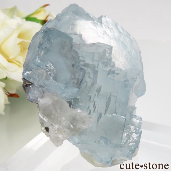 䥪󥷥 ֥롼ե饤ȡġեޥ 125gμ̿0 cute stone