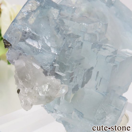 䥪󥷥 ֥롼ե饤ȡġեޥ 125gμ̿1 cute stone