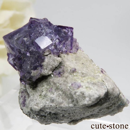 䥪󥷥 ѡץե饤Ȥդ뾽 12.6gμ̿1 cute stone