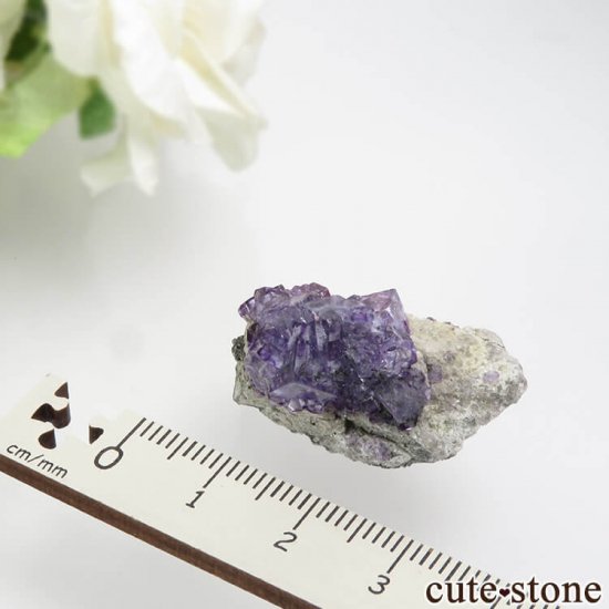 䥪󥷥 ѡץե饤Ȥդ뾽 12.6gμ̿3 cute stone