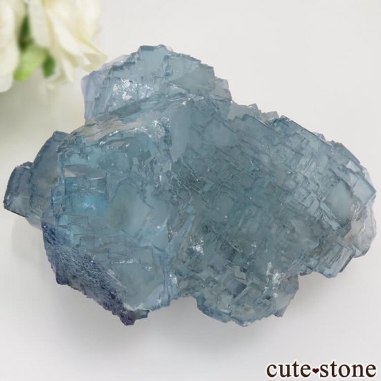 䥪󥷥 礭ʥ֥롼ե饤 457gμ̿0 cute stone