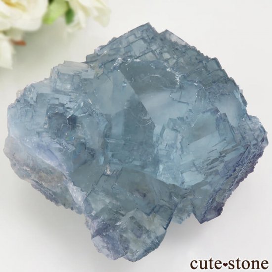 䥪󥷥 礭ʥ֥롼ե饤 457gμ̿2 cute stone