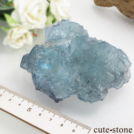 䥪󥷥 礭ʥ֥롼ե饤 457gμ̿5 cute stone
