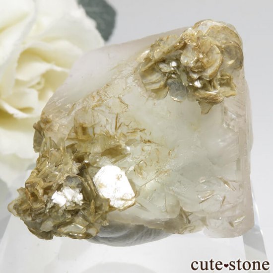 ѥ Chumar Bakhoor ԥ󥯡꡼ե饤ȡ⥹ХȤη뾽ʸС 31.8gμ̿2 cute stone