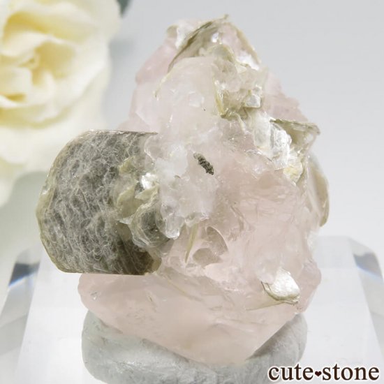 ѥ Chumar Bakhoor ԥ󥯥ե饤ȡ⥹ХȤη뾽ʸС 21.2gμ̿0 cute stone