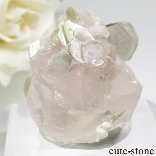 ѥ Chumar Bakhoor ԥ󥯥ե饤ȡ⥹ХȤη뾽ʸС 21.2gμ̿2 cute stone