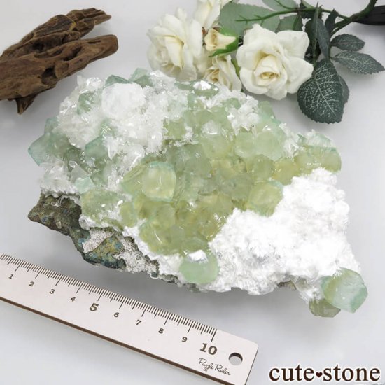  ץ͡ ʥ黺 ꡼ݥե饤ȡƥХȡǥʥȤθ 630gμ̿5 cute stone