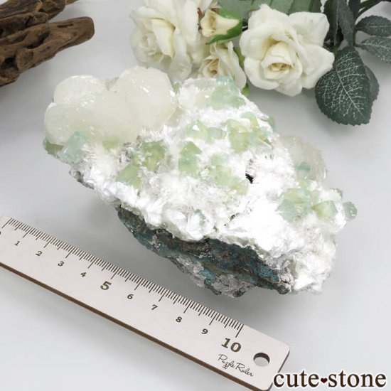  ץ͡ ʥ黺 ꡼ݥե饤ȡƥХȡǥʥȤθ 368gμ̿6 cute stone