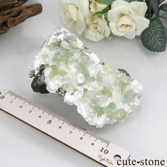  ץ͡ ʥ黺 ꡼ݥե饤ȡƥХȡǥʥȤθ 169gμ̿4 cute stone