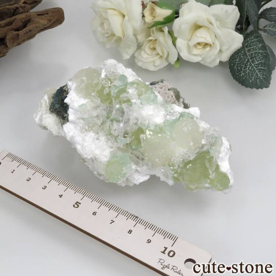  ץ͡ ʥ黺 ꡼ݥե饤ȡƥХȡǥʥȤθ 171gμ̿5 cute stone
