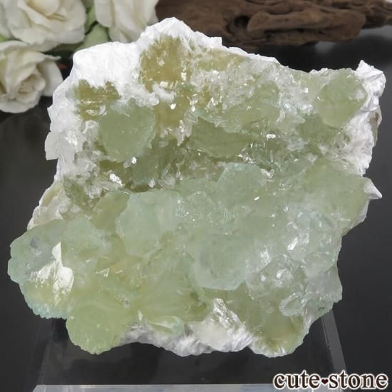  ץ͡ ʥ黺 ꡼ݥե饤ȡƥХȡǥʥȤθ 99g