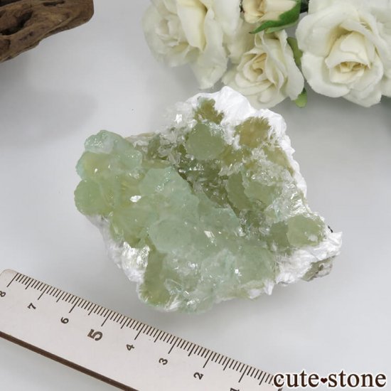  ץ͡ ʥ黺 ꡼ݥե饤ȡƥХȡǥʥȤθ 99gμ̿5 cute stone