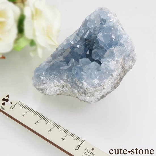 ޥ뻺 쥹ȤθСʥ饹184gμ̿2 cute stone