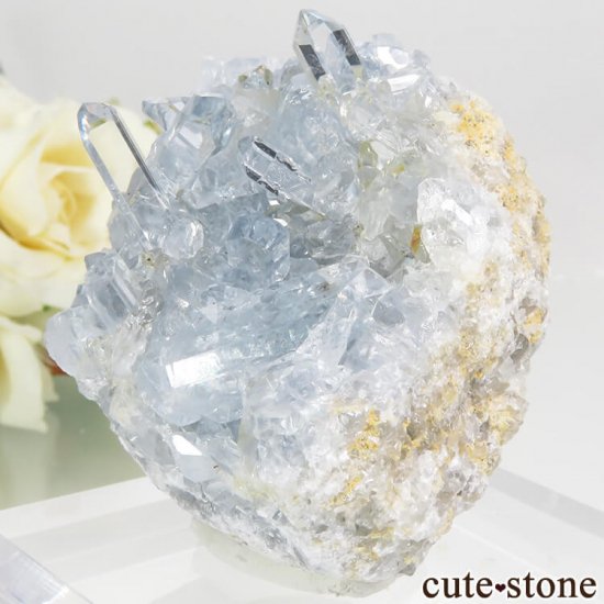 ޥ뻺 쥹ȤθСʥ饹184.5gμ̿1 cute stone