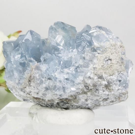 ޥ뻺 쥹ȤθСʥ饹100gμ̿1 cute stone