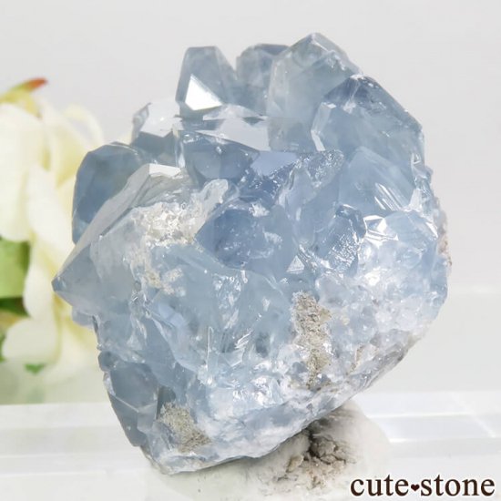 ޥ뻺 쥹ȤθСʥ饹100gμ̿2 cute stone