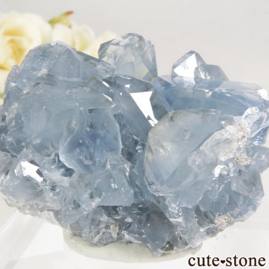 ޥ뻺 쥹ȤθСʥ饹100gμ̿3 cute stone