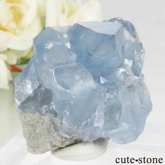 ޥ뻺 쥹ȤθСʥ饹68.5gμ̿0 cute stone