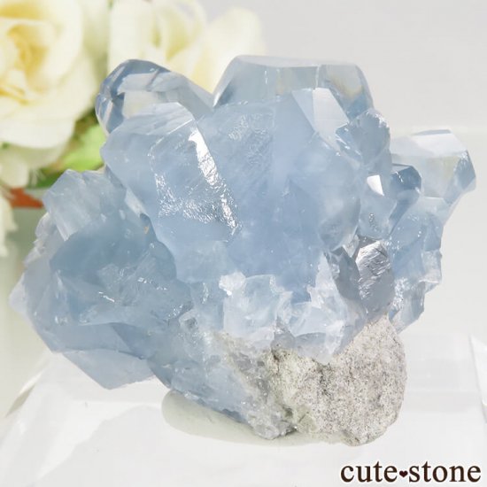 ޥ뻺 쥹ȤθСʥ饹68.5gμ̿1 cute stone