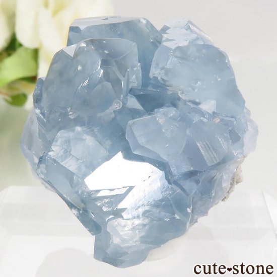 ޥ뻺 쥹ȤθСʥ饹68.5gμ̿2 cute stone