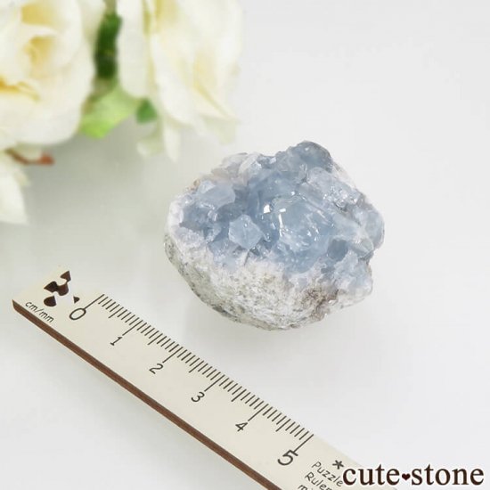 ޥ뻺 쥹ȤθСʥ饹66.4gμ̿2 cute stone