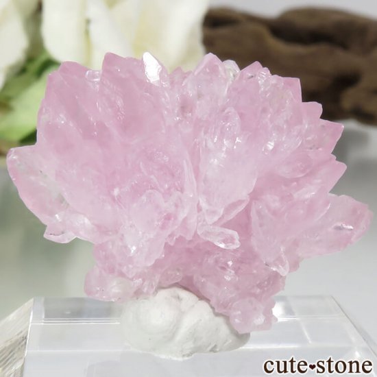 ֥饸 ߥʥ饤 Ĥη뾽 5.7gμ̿1 cute stone